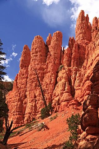 052 red canyon.JPG